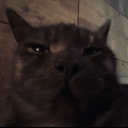 avatar 𝐋uc𝐲𝐲