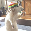 avatar Betty Spaghetty