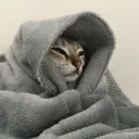mu.chomoor