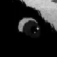higumadawn avatar
