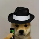 marriderfan