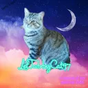 lettabbycat97