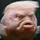 swampsterman