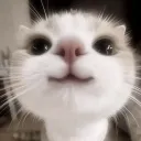 deleted_user30188391