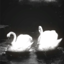 avatar ˚˳⊹ ଘ 𝔰𝔢𝔯𝔢𝔦𝔫ଓ ˖˚⊹