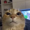 amegaaa