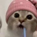 ipexdy