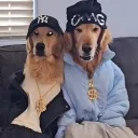 harahs