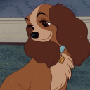 avatar *.✧zzek*.✧