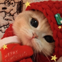 avatar J A S M I N 愛