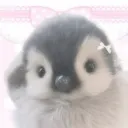 yildizxxx