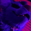 avatar 🎄Naga ❄ Serpentis 🎁