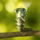 zsexyman avatar