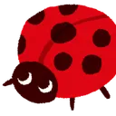 teto_1010