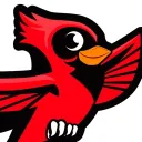 cardinal2007
