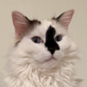 avatar Bizzy