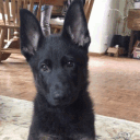 zoomingzoom