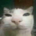 avatar anna