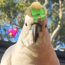 avatar Rocket The Rat