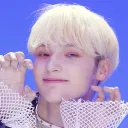 wolfchani