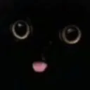tomtomfh avatar
