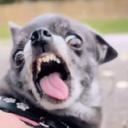 avatar MrStealYourFries