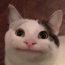 likoniko1337