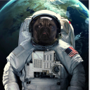 baboumboui#2301's avatar