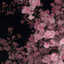 avatar 𝒜𝓁𝒾𝓎𝒶 ღ