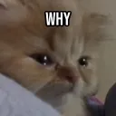 a discord avatar