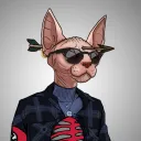 patcatmatt