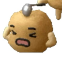 avatar 误把栾花当桂花