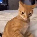 nandoothjuuh