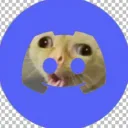 kotzkatze
