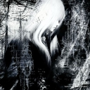 avatar 𝐧𝐳𝐪𝐦