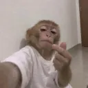 sosoqa_