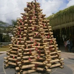 SuffocatingBamboo