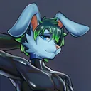 oddpawsx