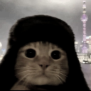 avatar Kelly