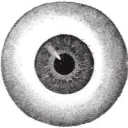 elysiunee