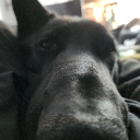 avatar 𝕜𝕒𝕣𝕞𝕒♡