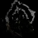 nw.01