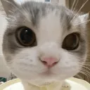 karito76
