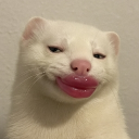 avatar Μικρή μου Πόρνη