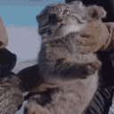 avatar GreenOnion170