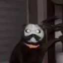 imstillhabibi