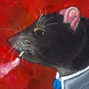 rataodobanhado6066