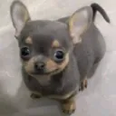 thatonepvper