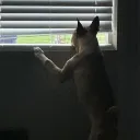 itchyarmpitts