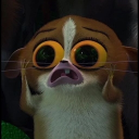 avatar dancowchocolate🐮